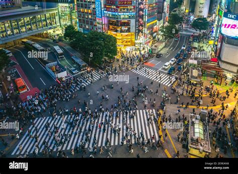 熱海駅から東京駅：都市と自然の交差点