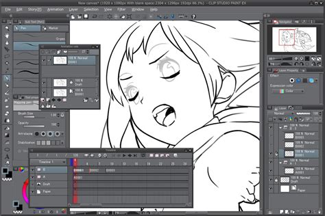 Is Clip Studio Paint on iPad: A Digital Artist's Dream or Just Another App?