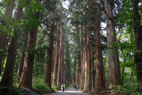 長野県 パワースポット 最強：なぜここは特別なのか？